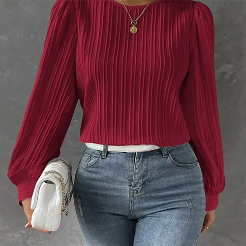 Chemisier À Manches Longues Chic Et Solide Couleur Pour Femmes | Confortable